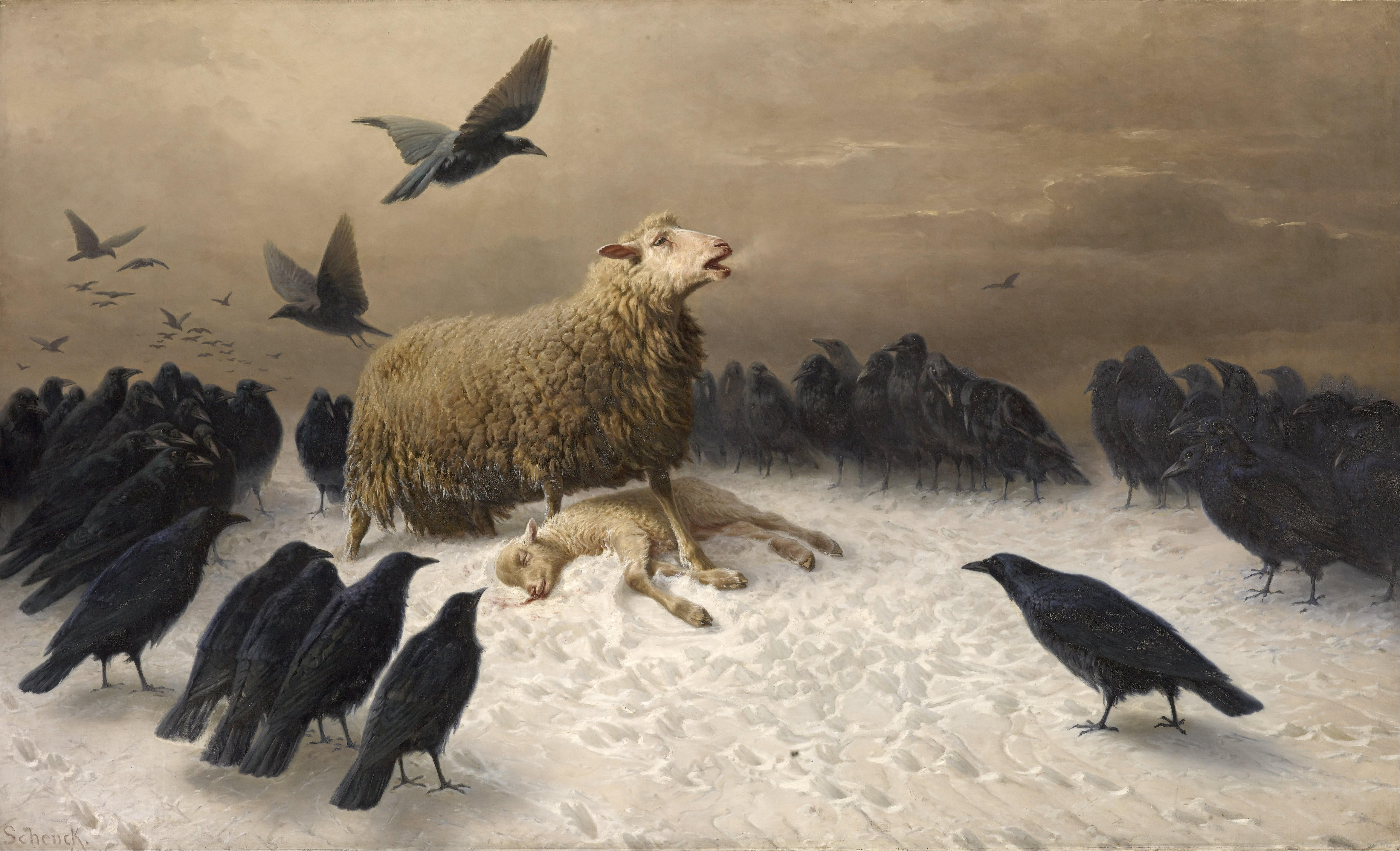 Capa de VOCO